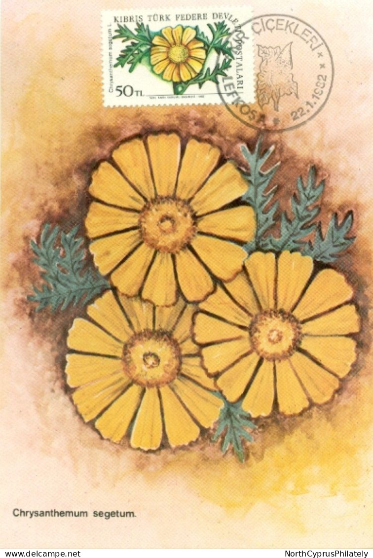 Turkish Cyprus Zypern Chypre Cipro " 1981 Flowers Chyrsanthemum Segetum  " Maximum Card - Altri & Non Classificati