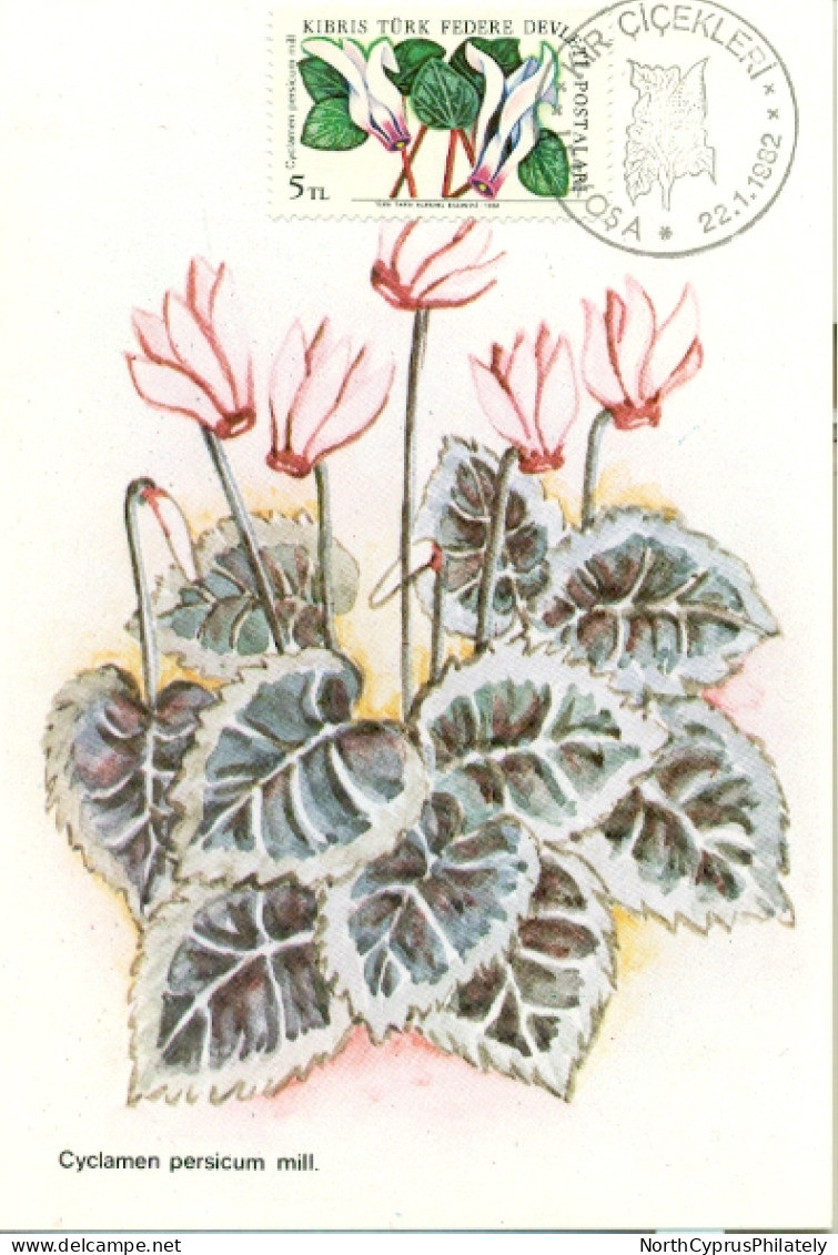 Turkish Cyprus Zypern Chypre Cipro " 1981 Flowers Cyclamen Persicum Mill  " Maximum Card - Sonstige & Ohne Zuordnung