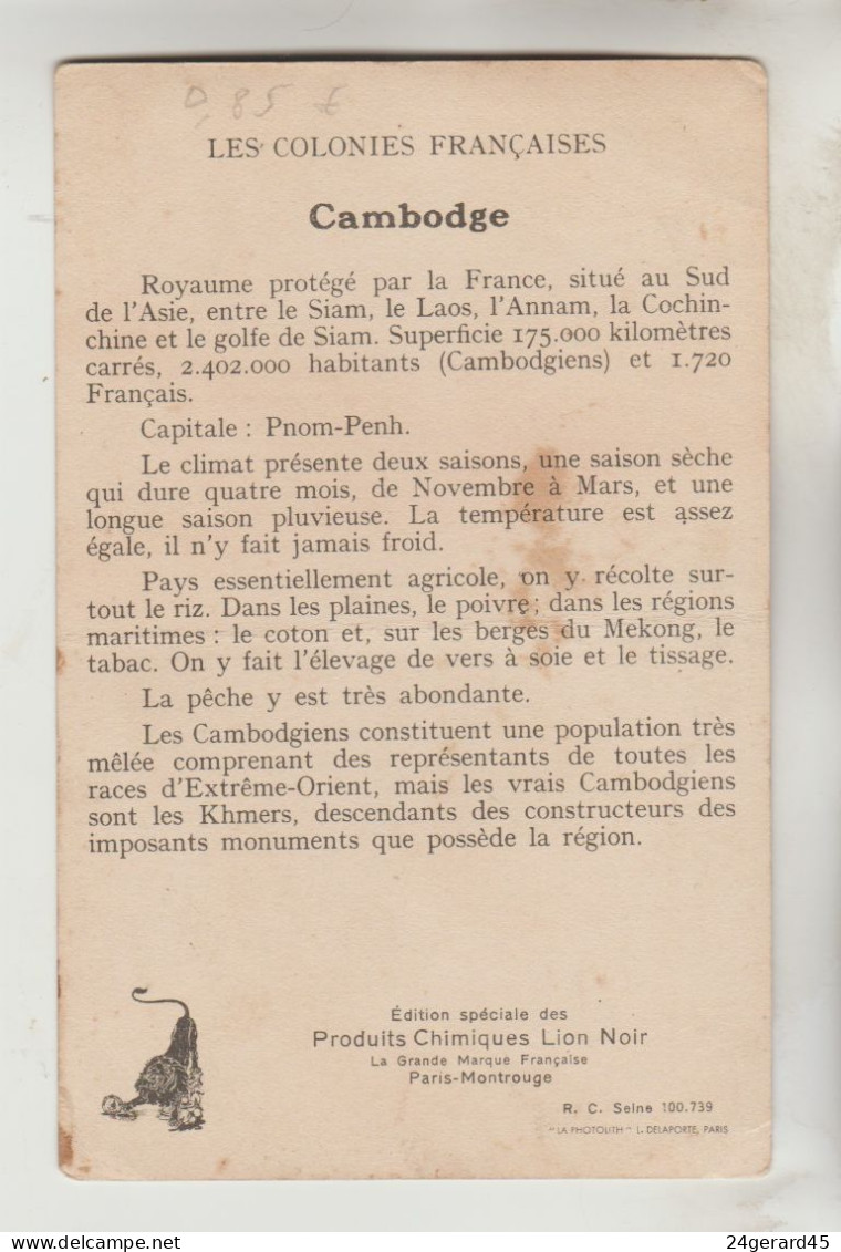 CARTON FORMAT CPSM PUBLICITE LION NOIR - COLONIES FRANCAISES : Le Cambodge - Camboya