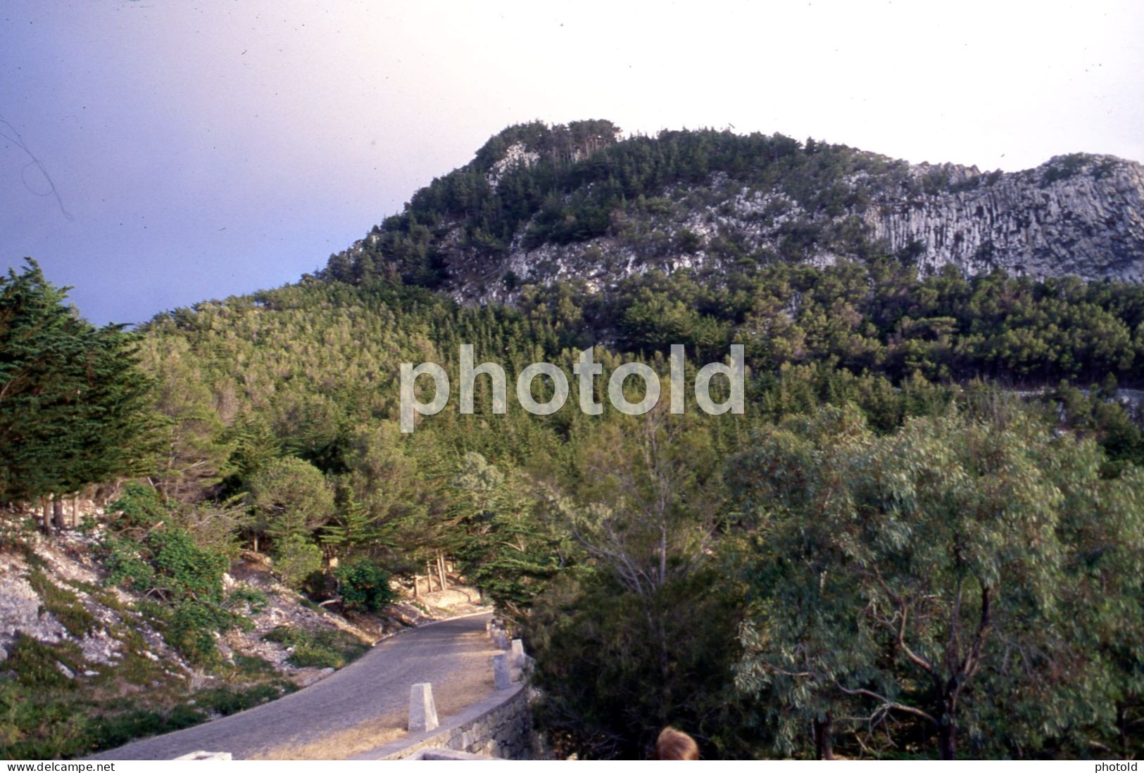 18 SLIDES SET 1984 ILHA PORTO SANTO MADEIRA FUNCHAL PORTUGAL  AMATEUR 35mm SLIDE not PHOTO no FOTO NB3960