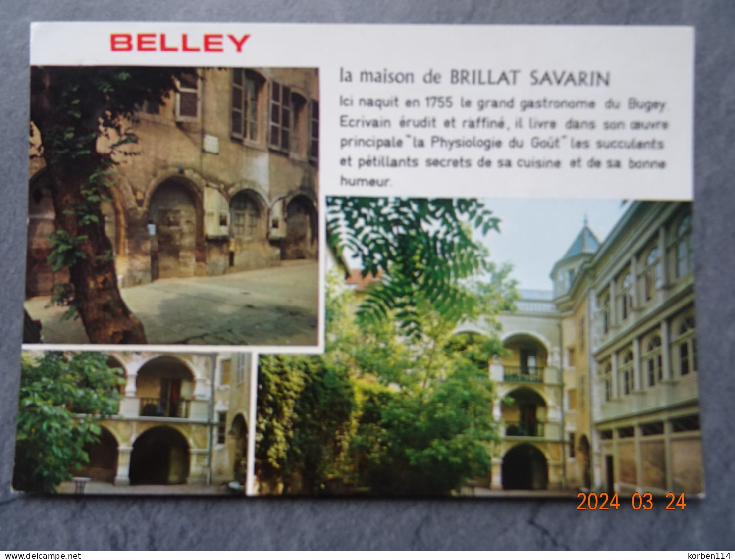 MAISON NATALE DE BRILLAT SAVARIN - Belley