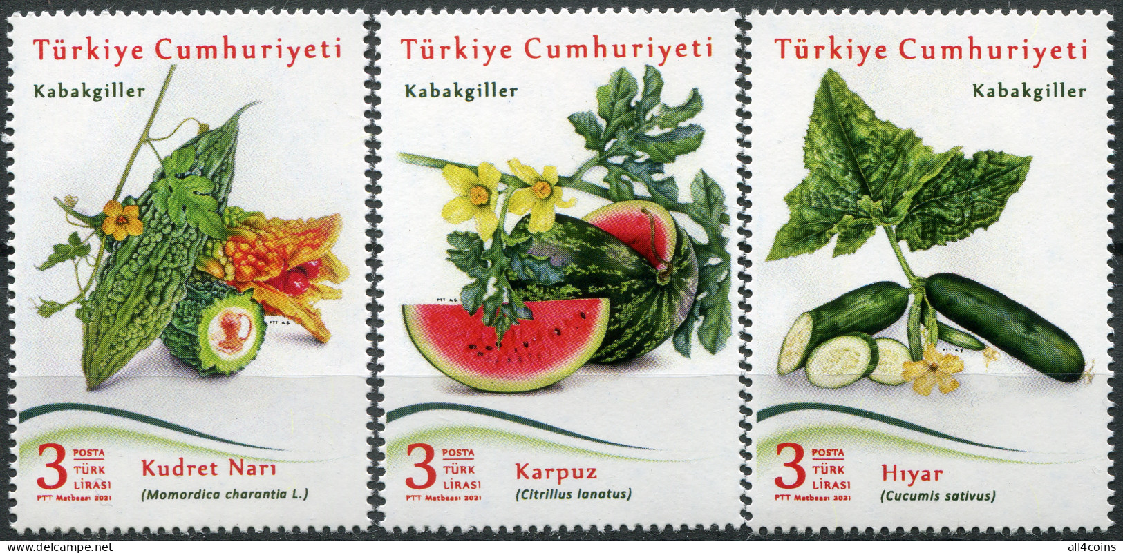 Turkey 2021. Plants Of The Pumpkin Family (MNH OG) Set Of 3 Stamps - Nuevos