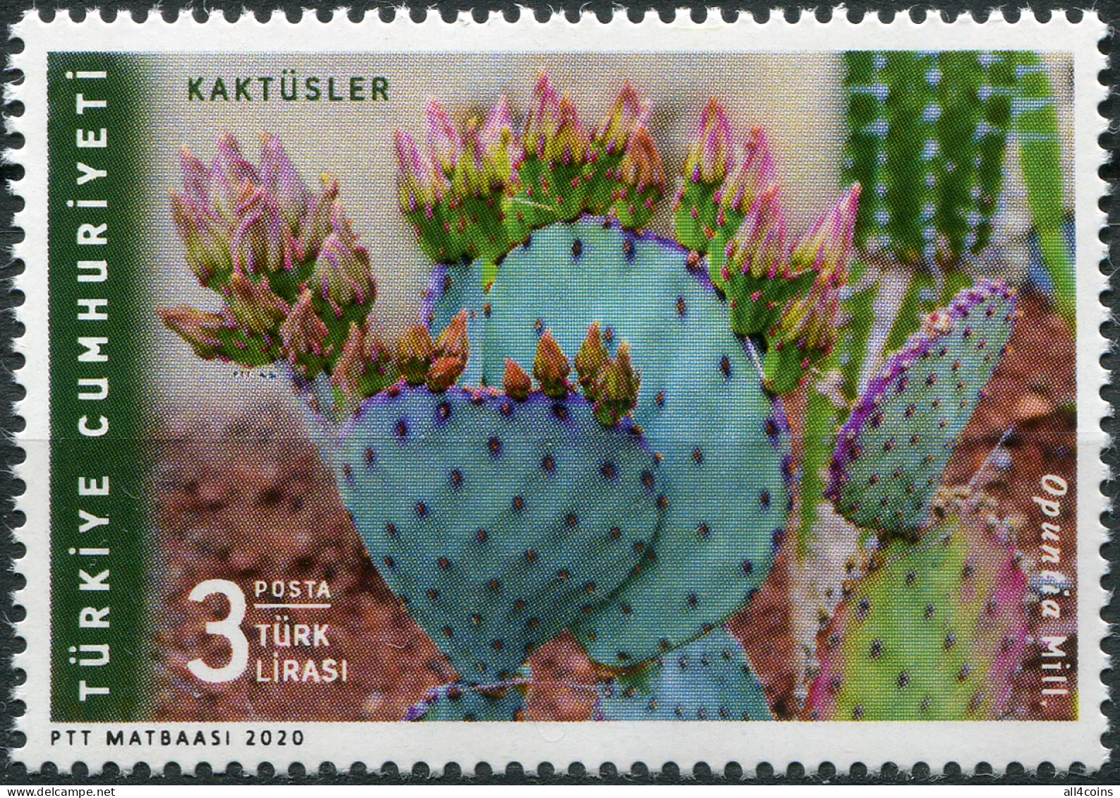 Turkey 2020. Cactus. Prickly Pear (Opuntia Sp) (MNH OG) Stamp - Nuevos