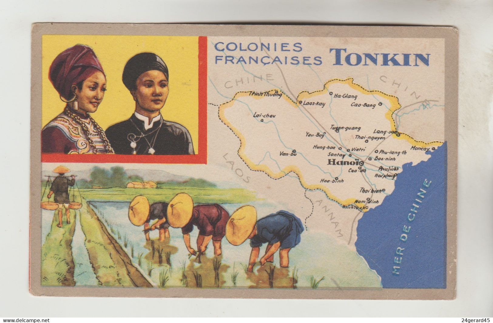 CARTON FORMAT CPSM PUBLICITE LION NOIR - COLONIES FRANCAISES : Le Tonkin (Viet Nam) - Vietnam