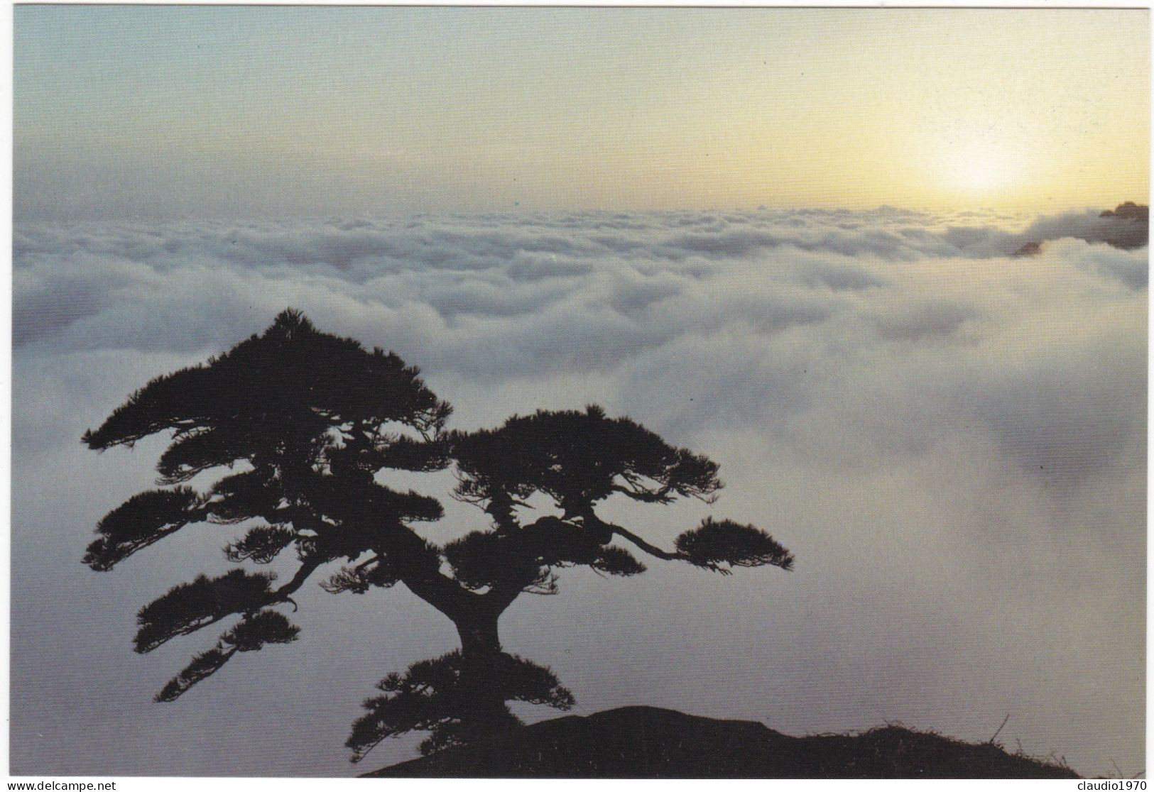 CINA - CHINA - CHINE - POST CARDS - CARTOLINA - MONUNT HUANGSHAN - Chine