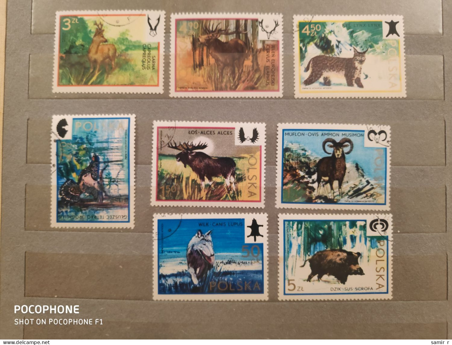 1973	Poland	Animals (F85) - Oblitérés