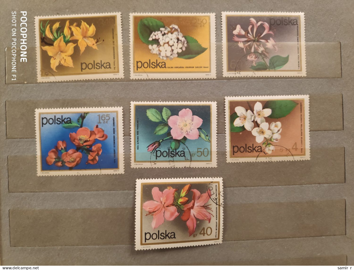 1972	Poland	Flowers (F85) - Used Stamps