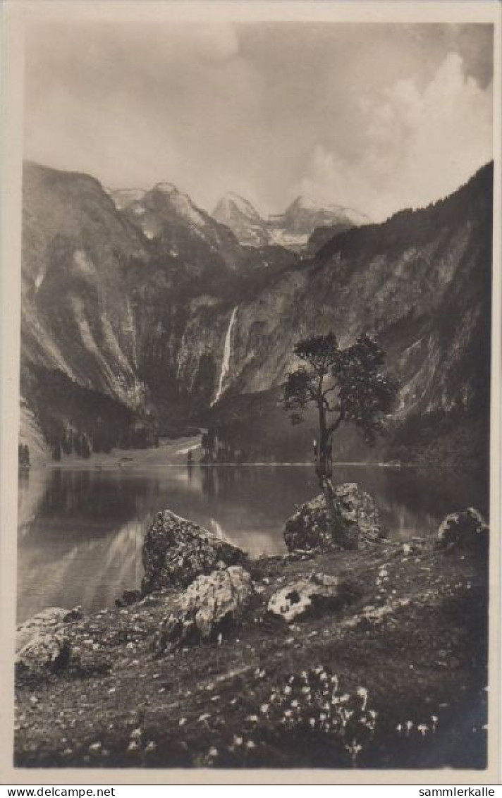 32291 - Königssee - Obersee - 1927 - Bad Reichenhall