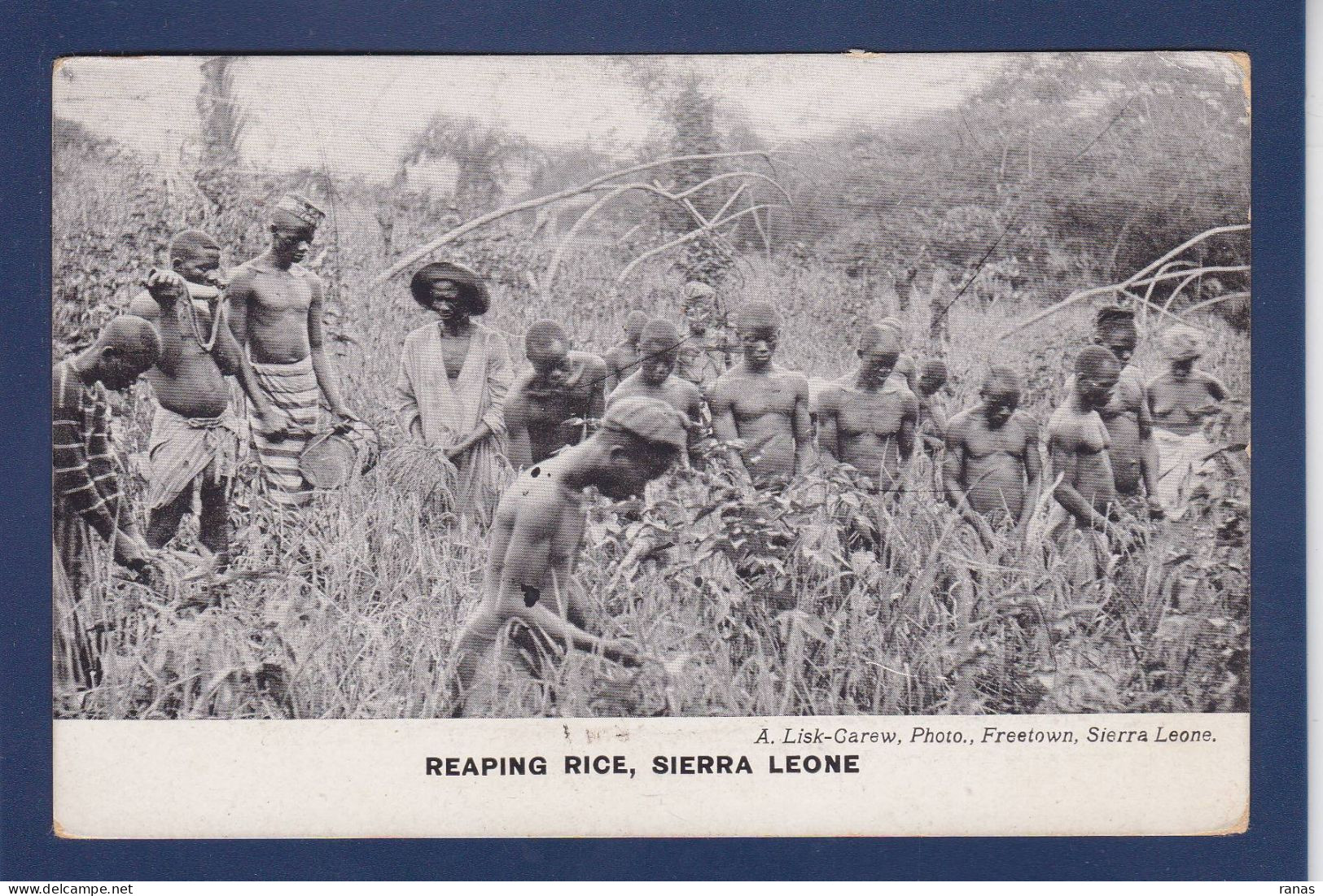 CPA Sierra Leone Afrique Noire Circulée - Sierra Leona