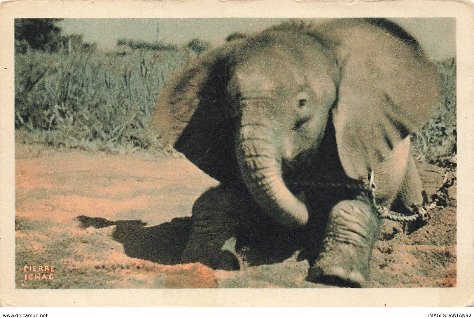 ANIMAUX #SAN47231BIS ELEPHANT COMPAGNIES DE NAVIGATION CYPRIEN FABRE ET FRAISSINET UN JEUNE ELEPHANT DU TCHAD AFRIQUE - Elefanti