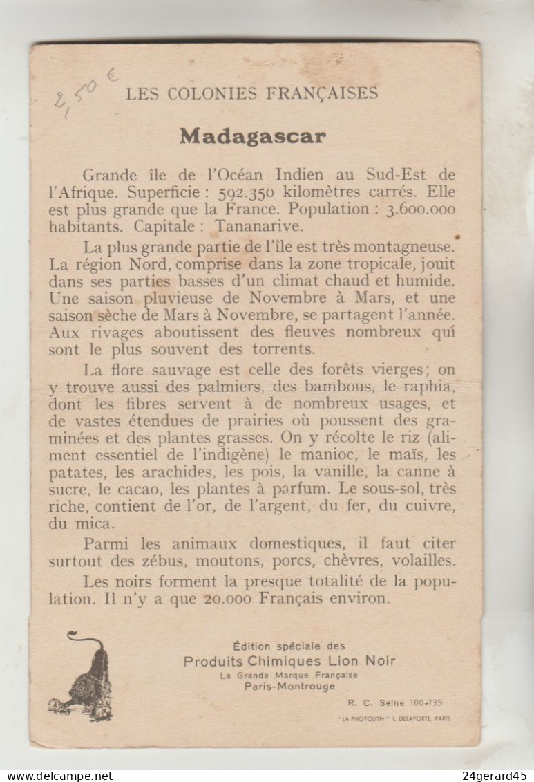 CARTON FORMAT CPSM PUBLICITE LION NOIR - COLONIES FRANCAISES : Madagascar - Madagascar