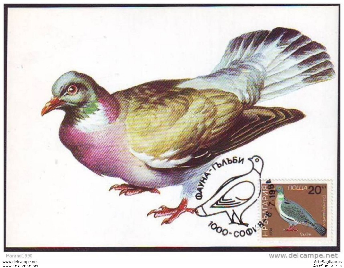 BULGARIA, CARTE MAXIMUM, BIRDS-Columba Palumbus # - Piccioni & Colombe