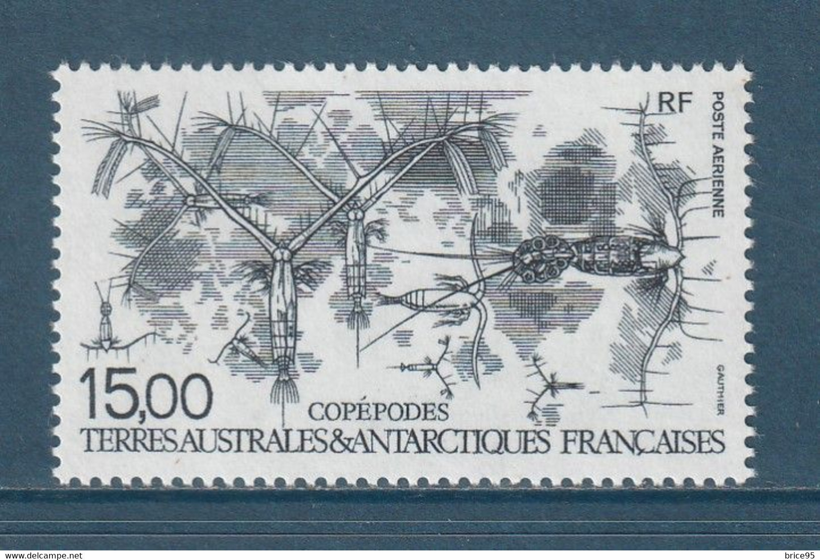 TAAF - Terres Australes Et Antarctiques Françaises - YT PA N° 129 ** - Neuf Sans Charnière - 1994 - Airmail