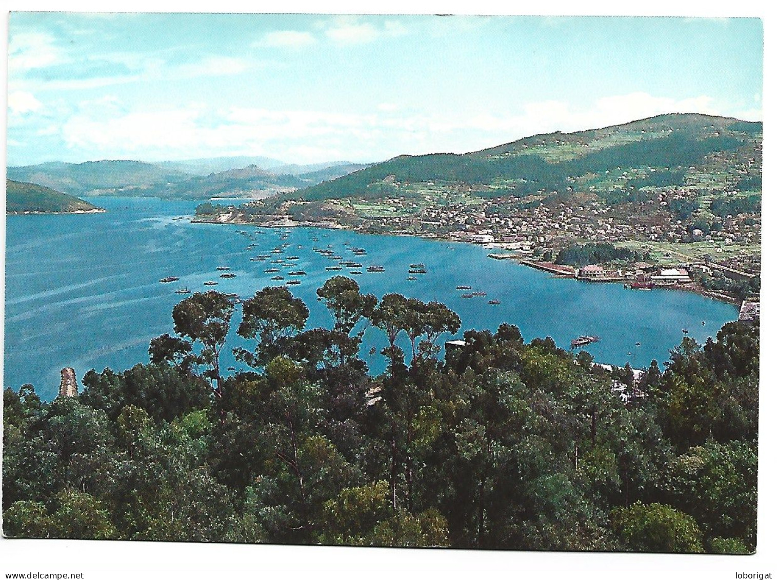 VISTA PARCIAL / VUE PARTIELLE / PARTIAL VIEW.-  VIGO / GALICIA.- ( ESPAÑA) - Sonstige & Ohne Zuordnung