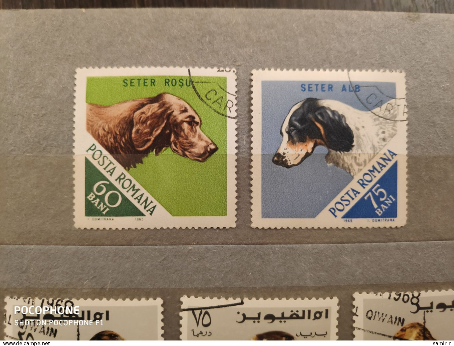 1965	Romania	Dogs (F85) - Oblitérés