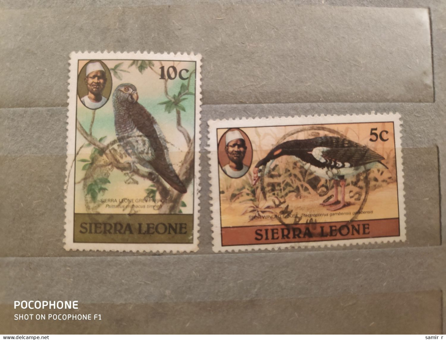 Sierra Leone	Birds (F85) - Sonstige - Afrika