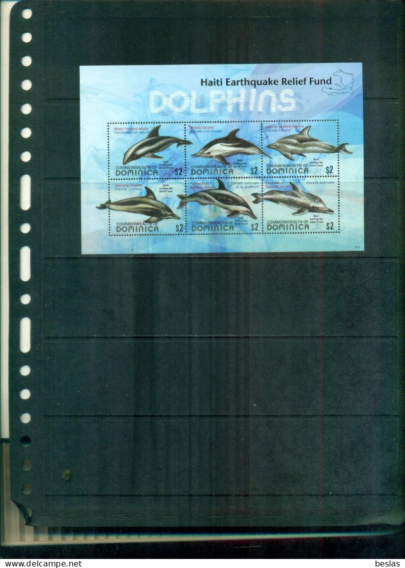 DOMINICA  DAUPHINS  POUR LES SINISTRES D'HAITI 6 VAL SURCHARGES NEUFS  A PARTIR DE 2 EUROS - Dominica (1978-...)