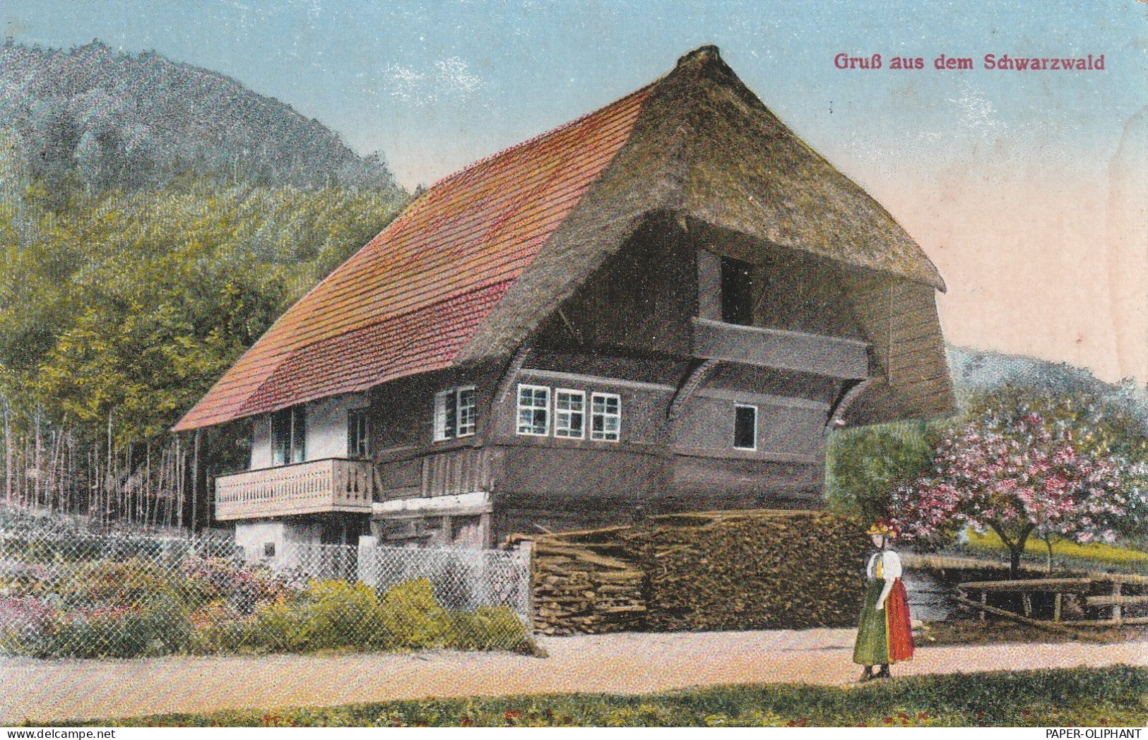 LANDWIRTSCHAFT - Bauernhaus Im Schwarzwald, Verlag Manias - Strassburg - Fattorie