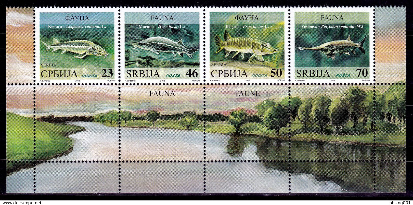 Serbia 2018 Fauna Freshwater Fishes Sterlet Sturgeon Beluga Pike The American Paddlefish, Set With Nice Labels MNH - Serbie