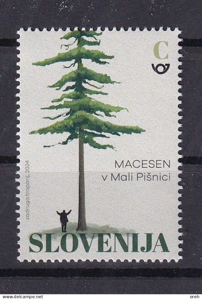 SLOVENIA 2024,FLORA,LARIX,TURISM,The Millennial Larch In The Valley Of The Mala Pišnica,MNH - Slovenia