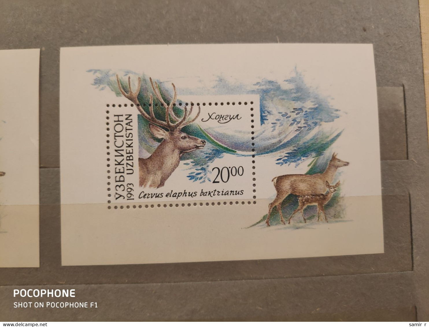 1993	Uzbekistan	Animals (F85) - Uzbekistan