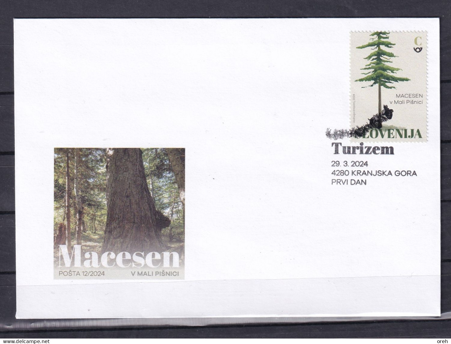 SLOVENIA 2024,FLORA,LARIX,The Millennial Larch In The Valley Of The Mala Pišnica,FDC - Slovenia