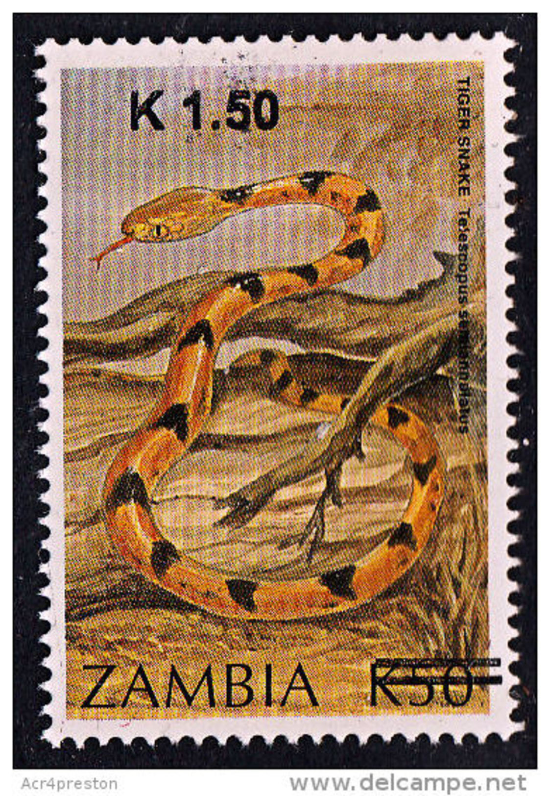 Zm1123 ZAMBIA 2014, NEW ISSUE K1.50 On K50 Tiger Snake  MNH (Issued 02-05-2014) - Zambie (1965-...)