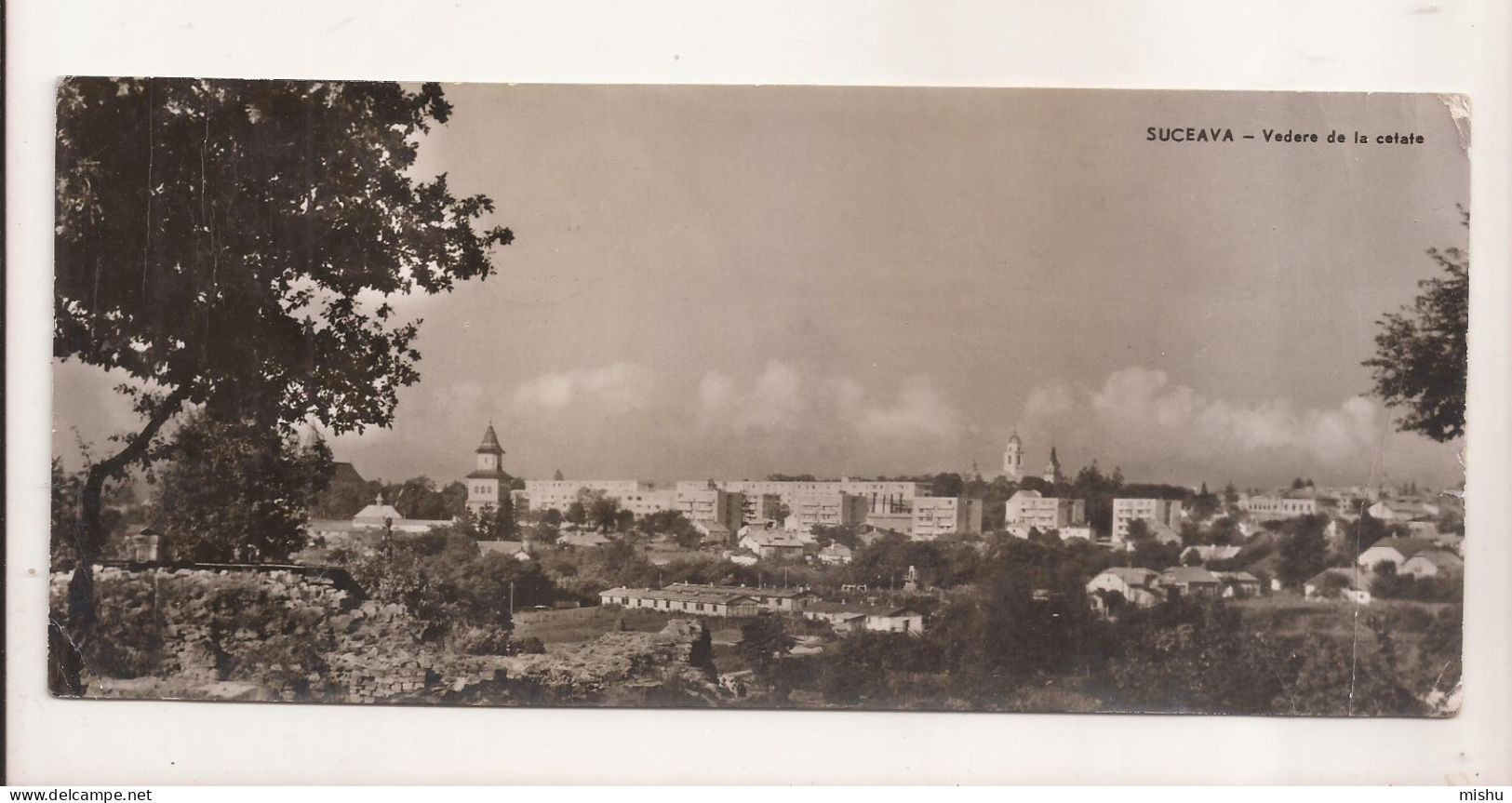 RF34 - Postcard - ROMANIA - Suceava, Vedere De La Cetate, Format Lung. Circulated 1963 - Rumänien