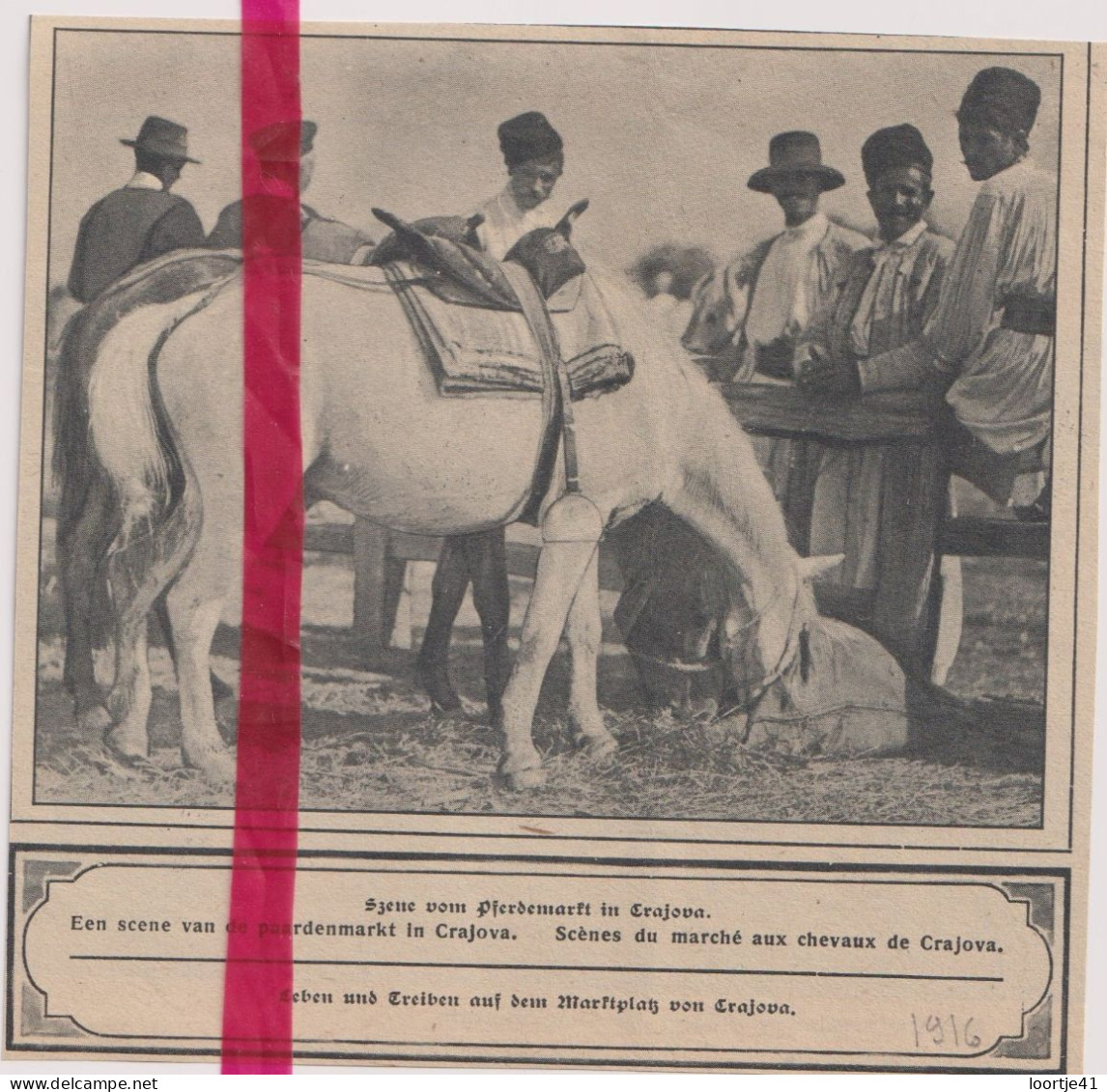 Crajova - Paardenmarkt, Marché Aux Chevaux - Orig. Knipsel Coupure Tijdschrift Magazine - 1916 - Unclassified