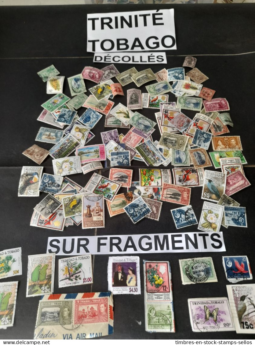 TRINIDAD TOBAGO ,8 G DECOLLES + 3 G SUR FRAGMENTS, ANCIENS + MODERNES, GRANDS 特立尼达多巴哥，8 克独立 + 3 克碎片，古代 + 现代，大型 ON + OFF - Vrac (max 999 Timbres)