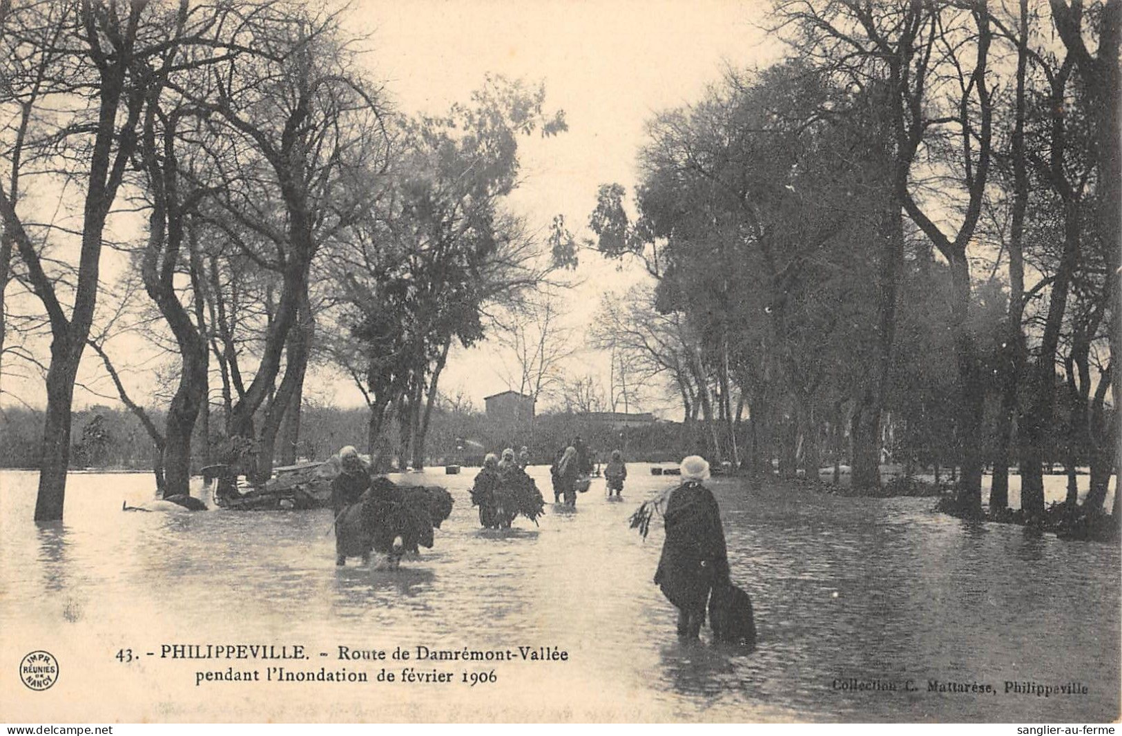 CPA ALGERIE / PHILIPPEVILLE / ROUTE DE DAMREMONT VALLEE PENDANT L'OCCUPATION DE FEVRIER 1906 - Skikda (Philippeville)