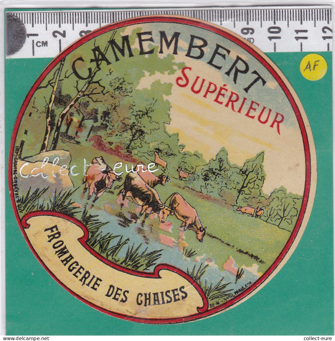 C878 FROMAGE CAMEMBERT SUPERIEUR FROMAGERIE DES CHAISES - Formaggio