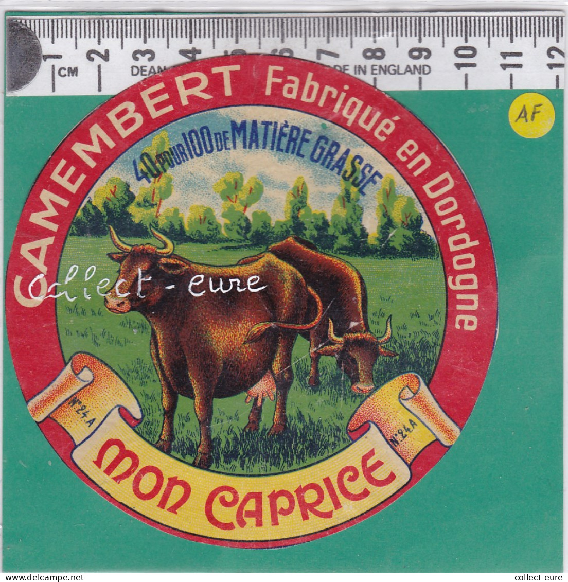 C879 FROMAGE CAMEMBERT MON CAPRICE DORDOGNE 40 % - Formaggio