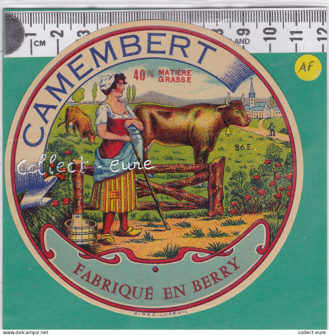 C881 FROMAGE CAMEMBERT GARDIENNE FEMME VACHE CLOCHETTE BERRY - Formaggio