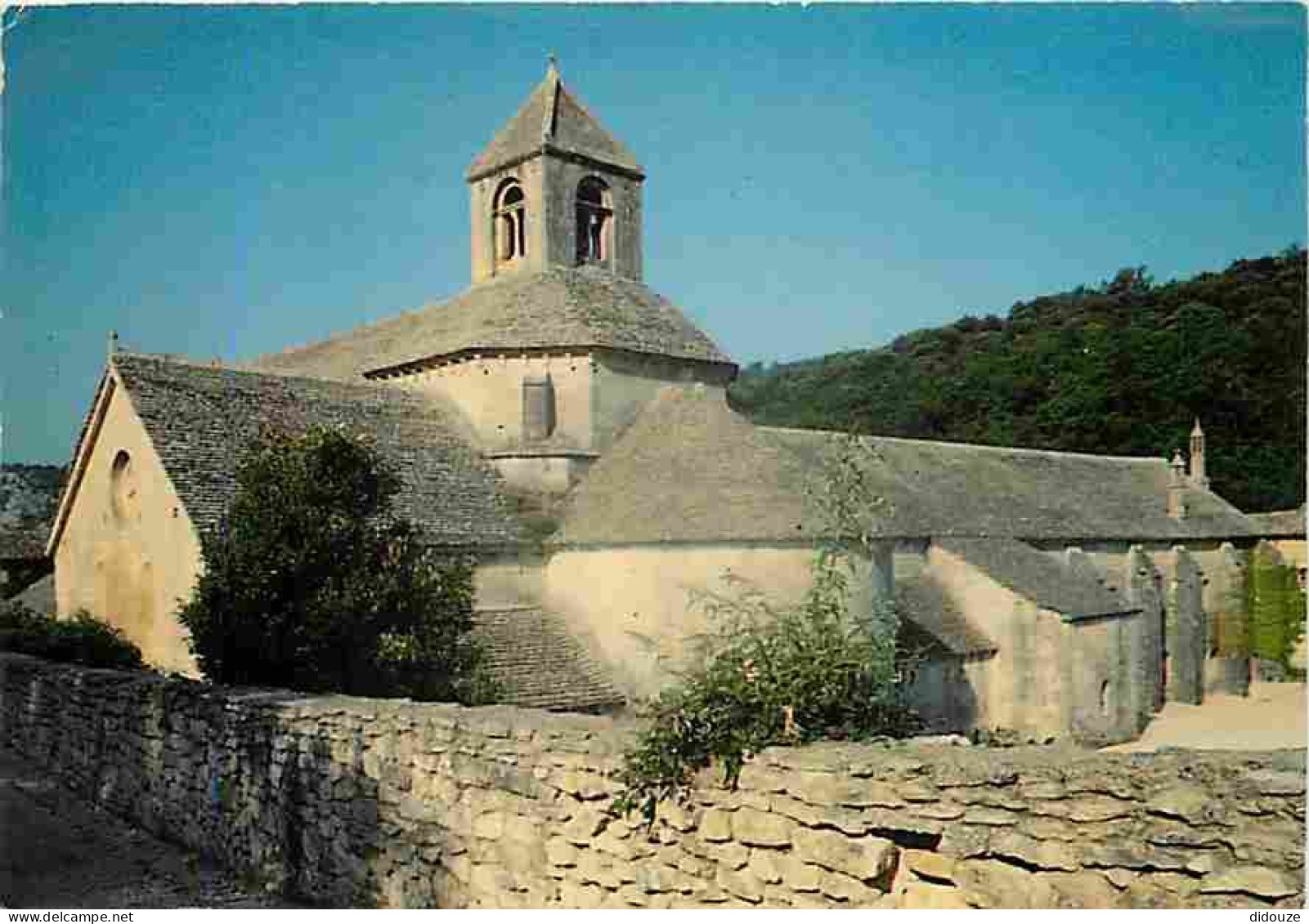 84 - Gordes - Abbaye De Sénanque - CPM - Voir Scans Recto-Verso - Gordes