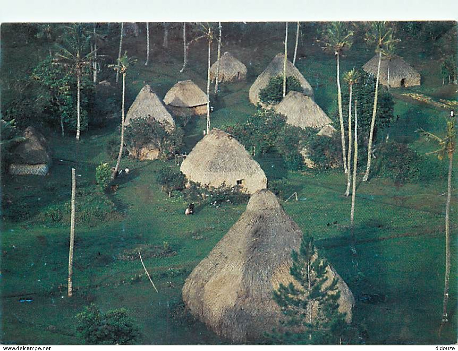 Fidji - Fiji - A Typical Village - The Thatched Houses Called Bures Are Cool In The Summer And Warm In The Winter - CPM  - Fiji