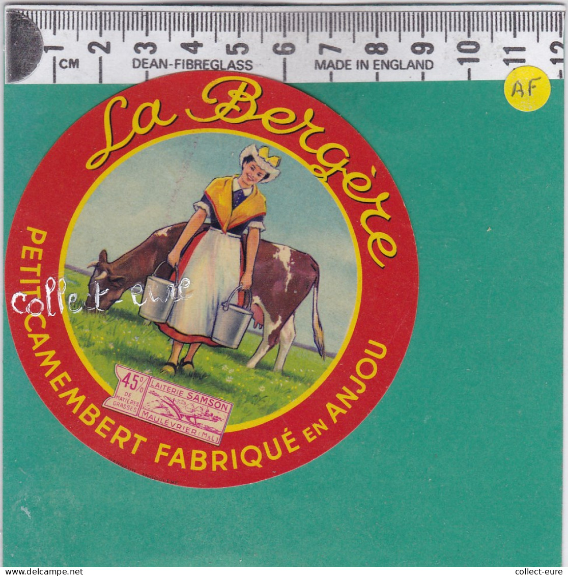 C888 FROMAGE CAMEMBERT LA BERGERE ANJOU 45 % - Formaggio