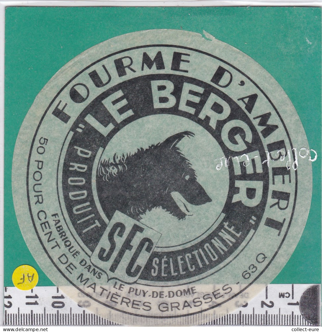 C895 FROMAGE FOURME D AMBERT LE BERGER CHIEN PUY DE DOME  - Formaggio