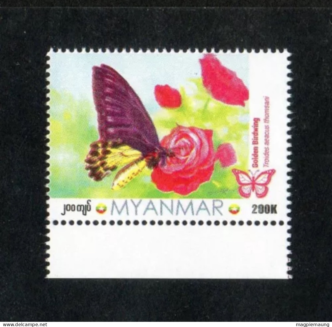 Myanmar (2024) Butterfly Series - Golden Birdwing 200K MNH April 2 Dispatch - Myanmar (Burma 1948-...)