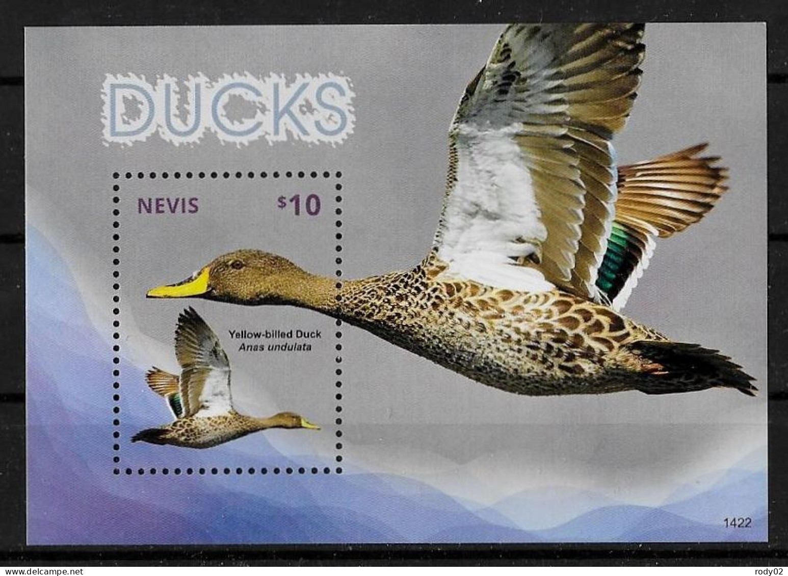 NEVIS - OISEAUX - CANARDS - N° 2482 A 2485 ET BF 349 ET 355E - NEUF** MNH - Eenden