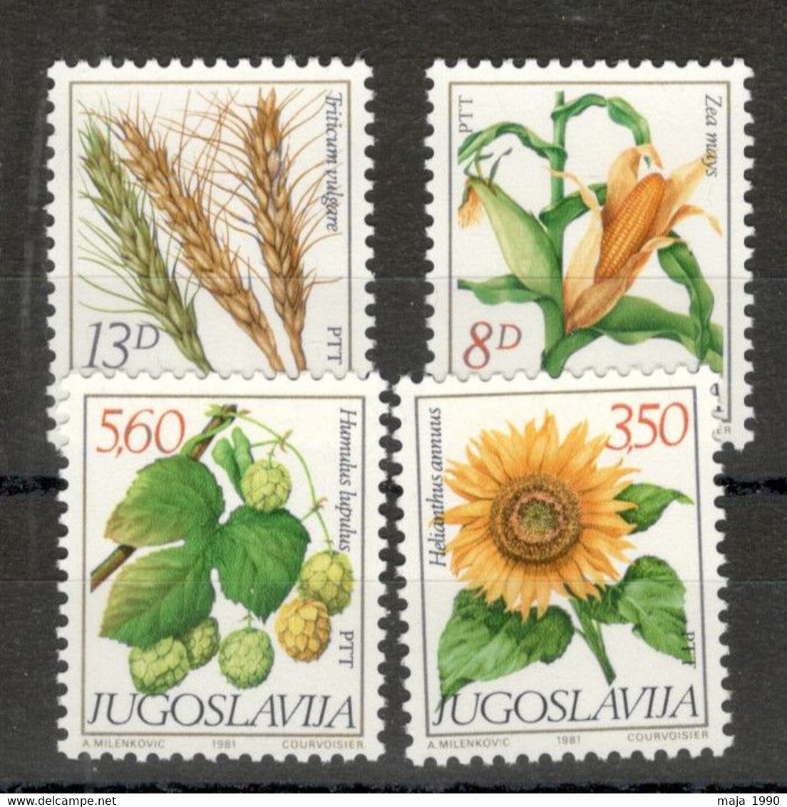 YUGOSLAVIA - MNH SET - FLORA - FLOWERS - 1981. - Unused Stamps