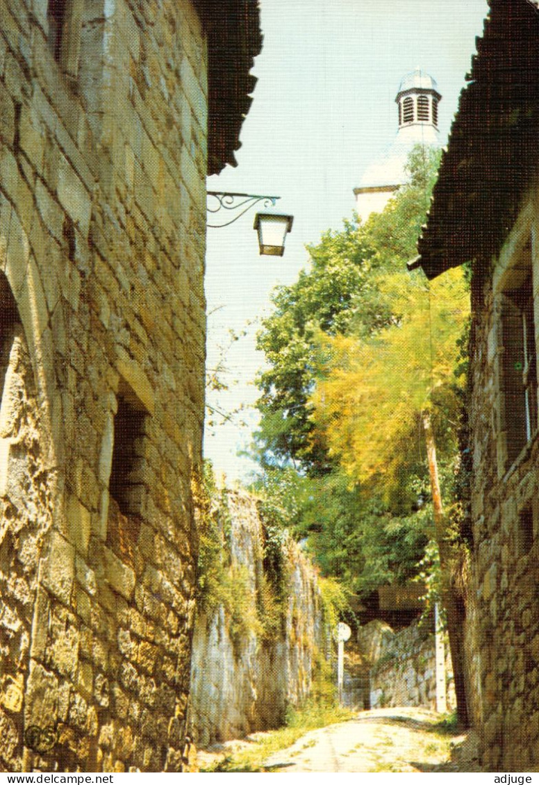 CPM-46- FIGEAC - Rue Delzhens Et L'Eglise Du Puy * 2 Scans - Figeac