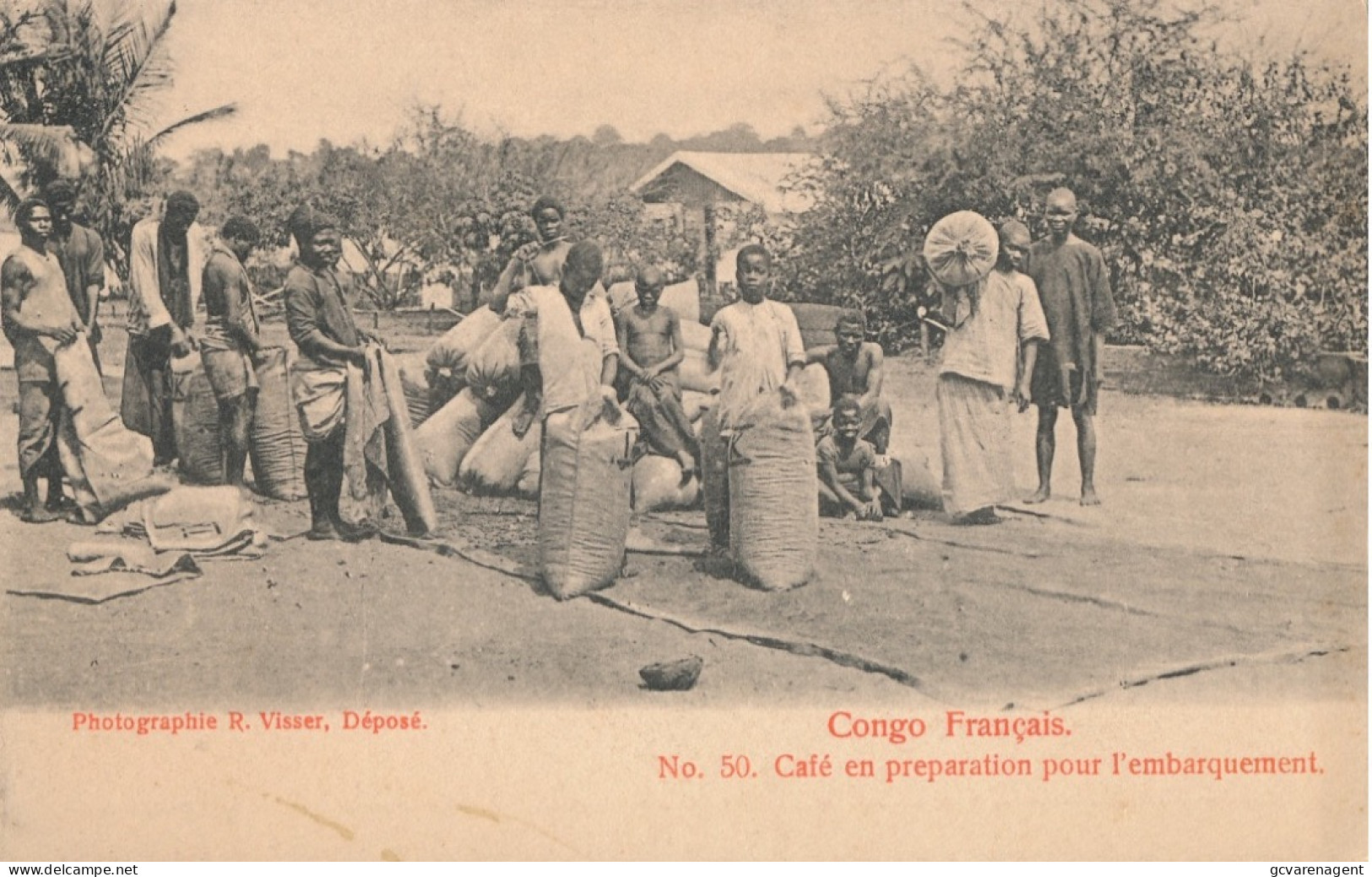 CONGO FRANCAIS    CAFE EN PREPARATION POUR L'EMBARQUEMENT           2 SCANS - French Congo