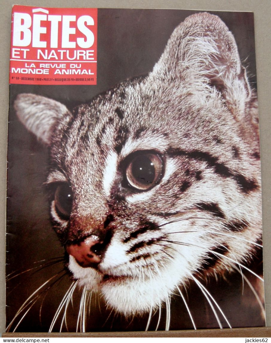 059/ LA VIE DES BETES / BETES ET NATURE N° 59 Du 12/1968, Voir Sommaire - Animaux