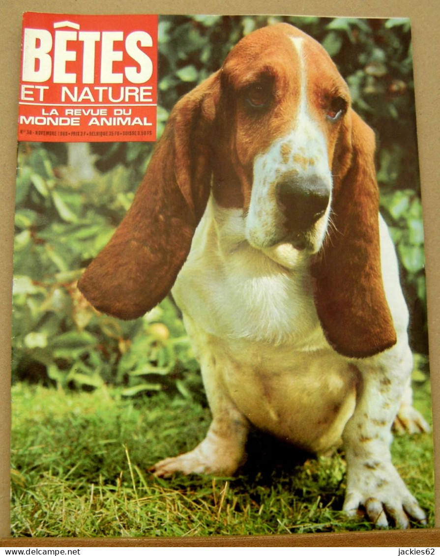 058/ LA VIE DES BETES / BETES ET NATURE N° 58 Du 11/1968, Voir Sommaire - Animali