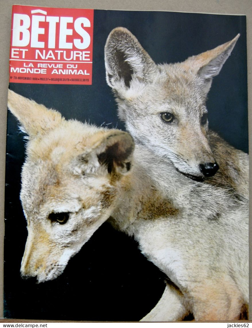 070/ LA VIE DES BETES / BETES ET NATURE N° 70 Du 11/1969, Voir Sommaire - Animals