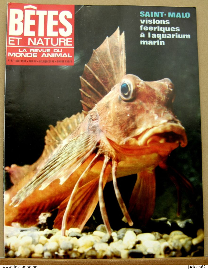 067/ LA VIE DES BETES / BETES ET NATURE N° 67 Du 8/1969, Voir Sommaire - Tierwelt