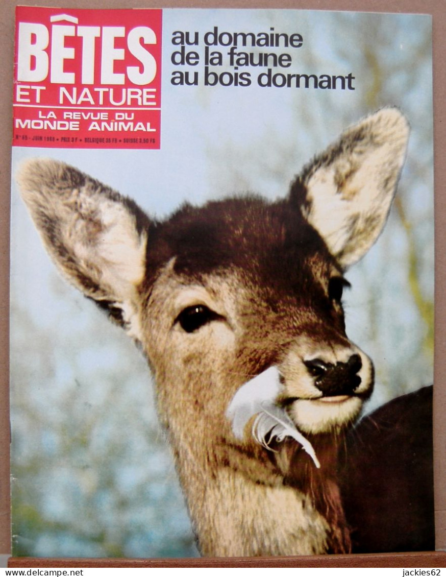 065/ LA VIE DES BETES / BETES ET NATURE N° 65 Du 6/1969, Voir Sommaire - Animali