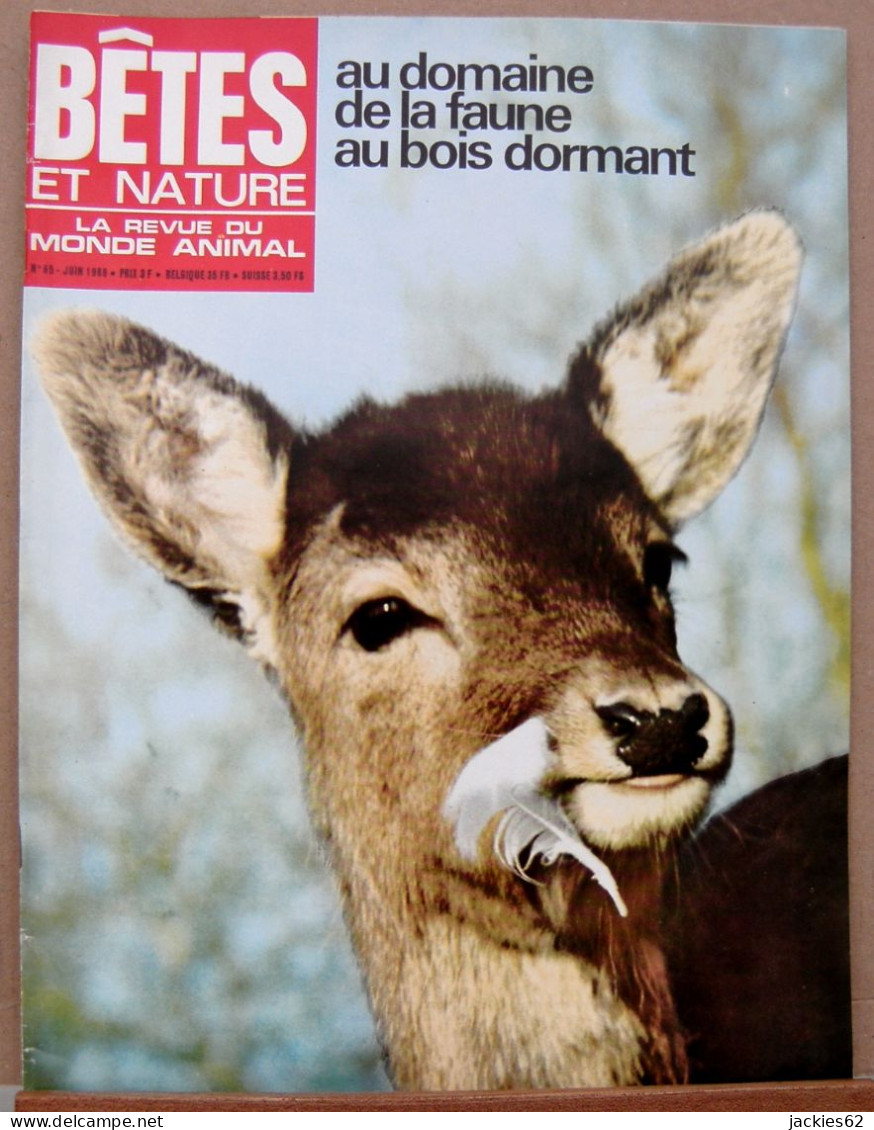 065/ LA VIE DES BETES / BETES ET NATURE N° 65 Du 6/1969, Voir Sommaire - Animaux