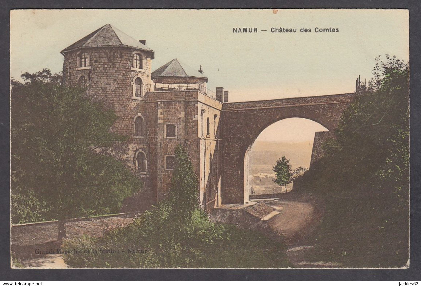 105743/ NAMUR, Château Féodal Des Comtes - Namur